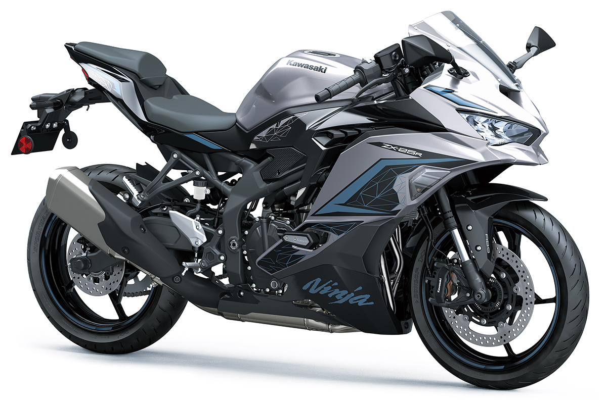 ２０２４】Ｎｉｎｊａ ＺＸ－２５Ｒ ＳＥ／ＫＲＴ ＥＤＩＴＩＯＮ 